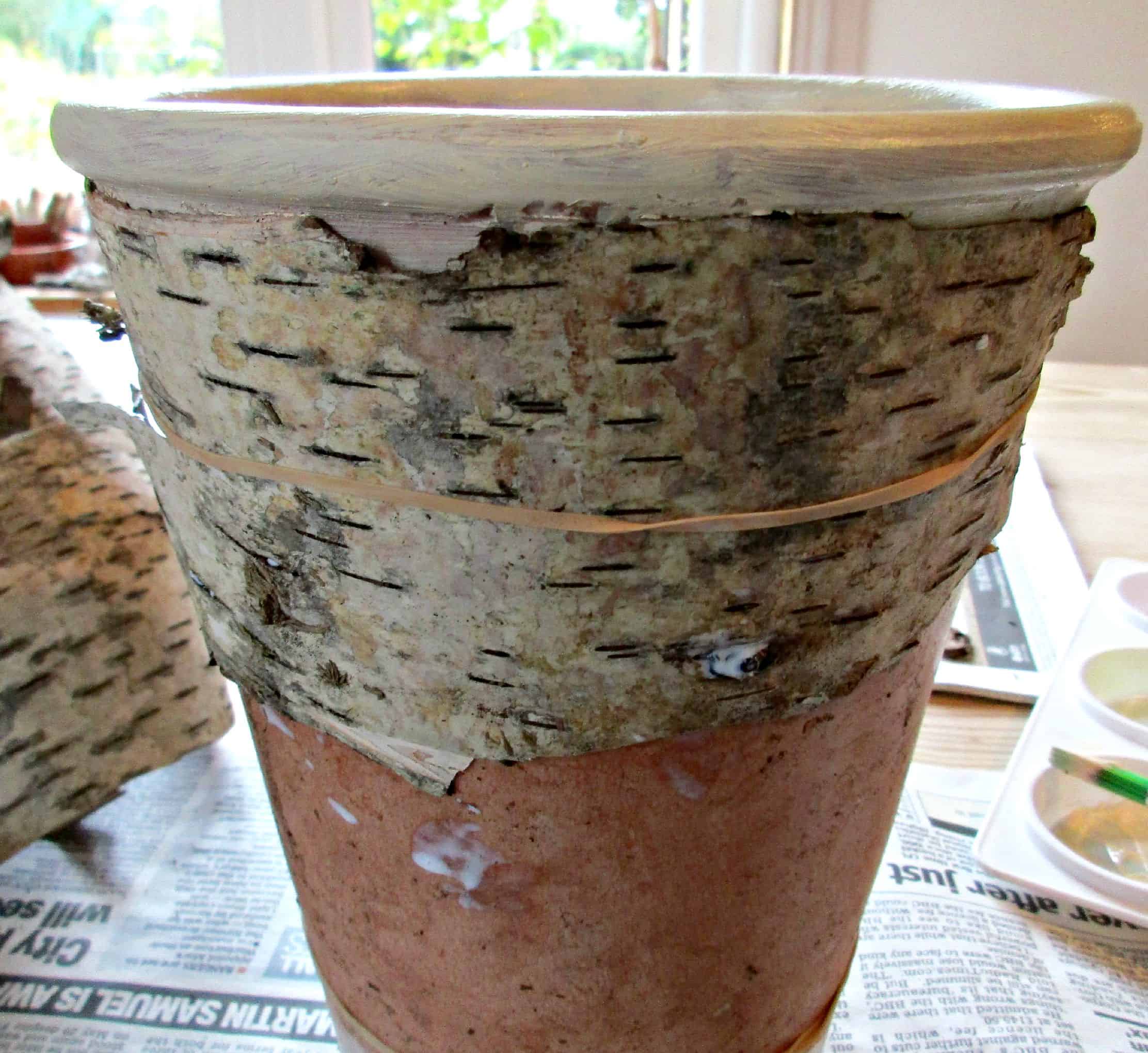 Great tutorial with step by step instructions on how to decorate a flower pot with Birch Bark. Lovely Rustic effect. Would make a lovely home-made gift :) 