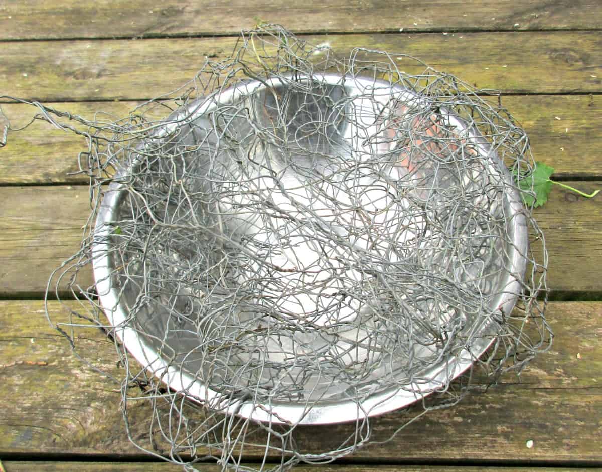 Check out our easy step by step instructions to make a wonderful Chicken wire, Moss and Succulent Toadstool - a beautiful living garden sculpture.