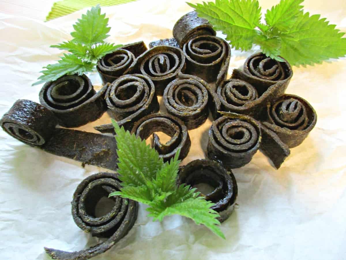 Stinging Nettle, Apple and Pear Fruit Leather makes a fabulous, healthy snack for the whole family. Nettles are hugely nutritious, with all sorts of health benefits, so I am delighted to have come up with a recipe for them, which the kids are so keen to eat.