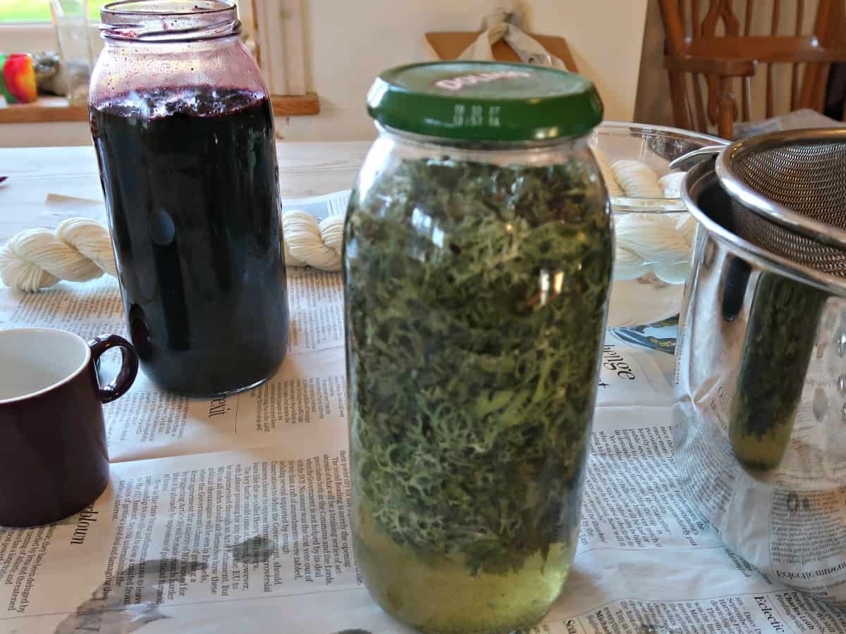 We have been experimenting with making dye from lichen with excellent results. Click through for our step by step instructions.