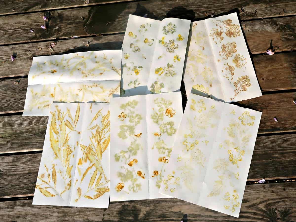 Have you ever heard of Eco Prints? Eco printing is the process of using natural plant materials such as leaves, flowers and bark to dye paper or textiles.