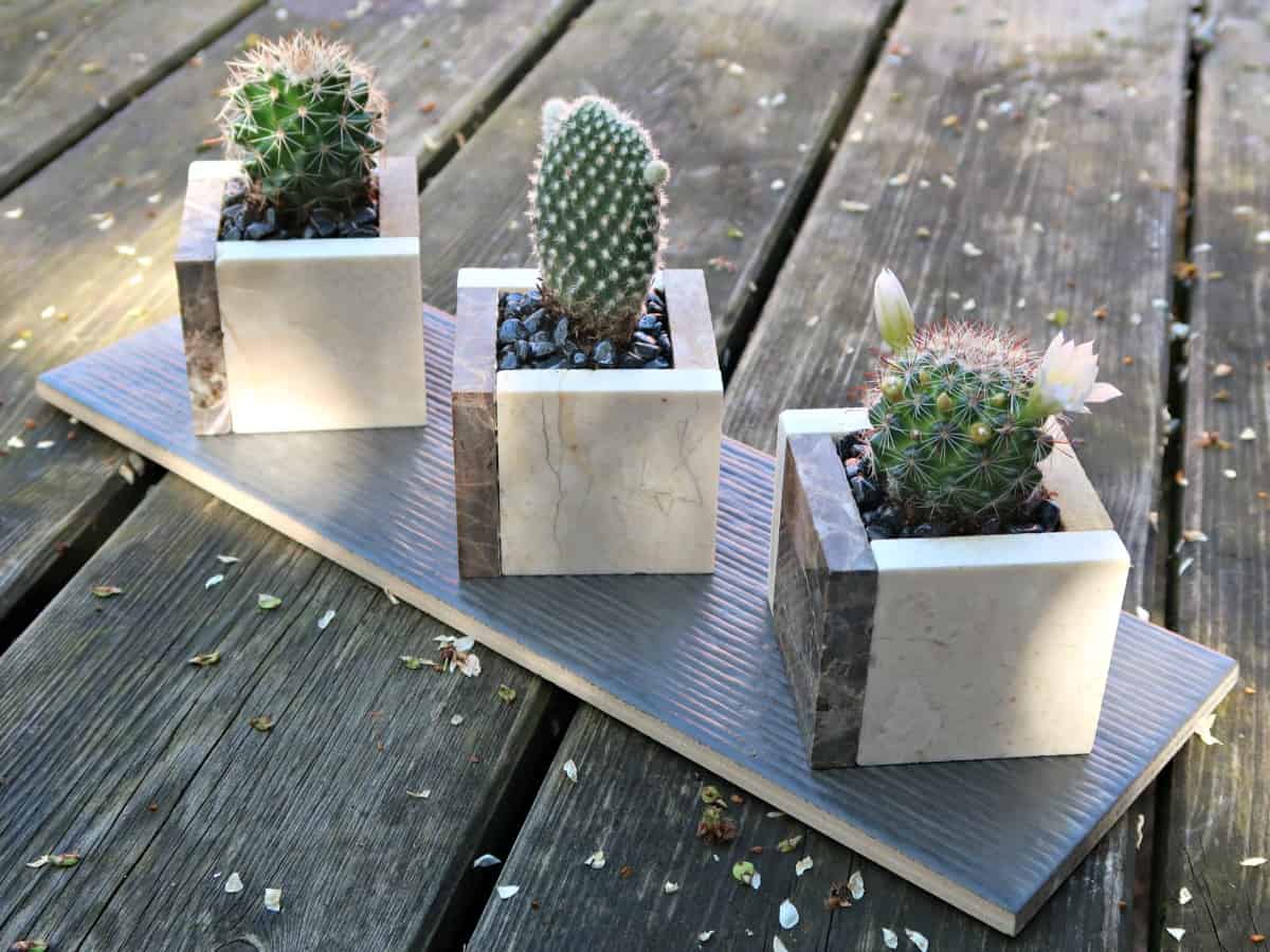 How To Make Cute Square Pots For Mini Cactus Plants • Craft Invaders