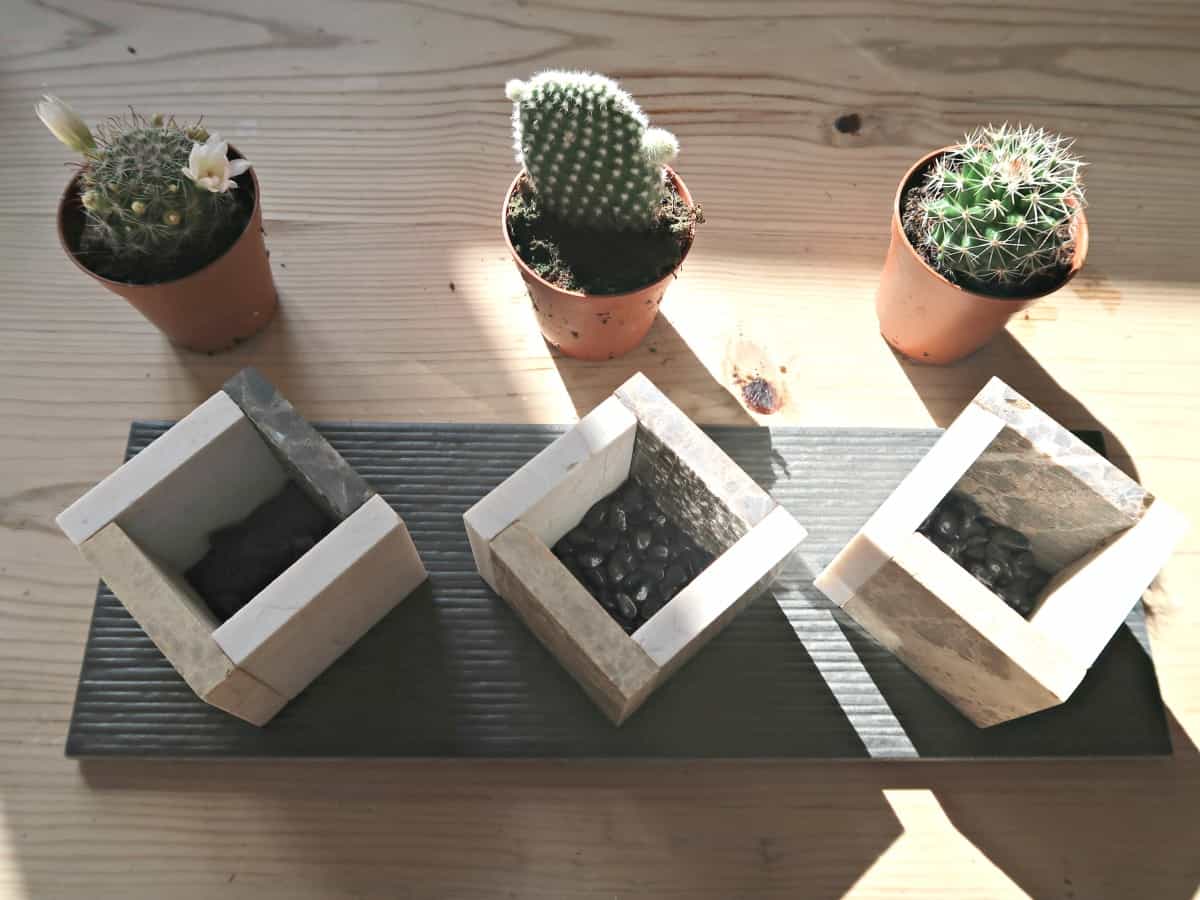 Square pots made from ceramic tiles are perfect for displaying mini cactus and succulents. In this tutorial, we show you how to make a stylish window sill planter to display your miniature plants. #CactusGarden #CactusPlanter #IndoorCactus #SucculentGarden #SucculentPot #Houseplants