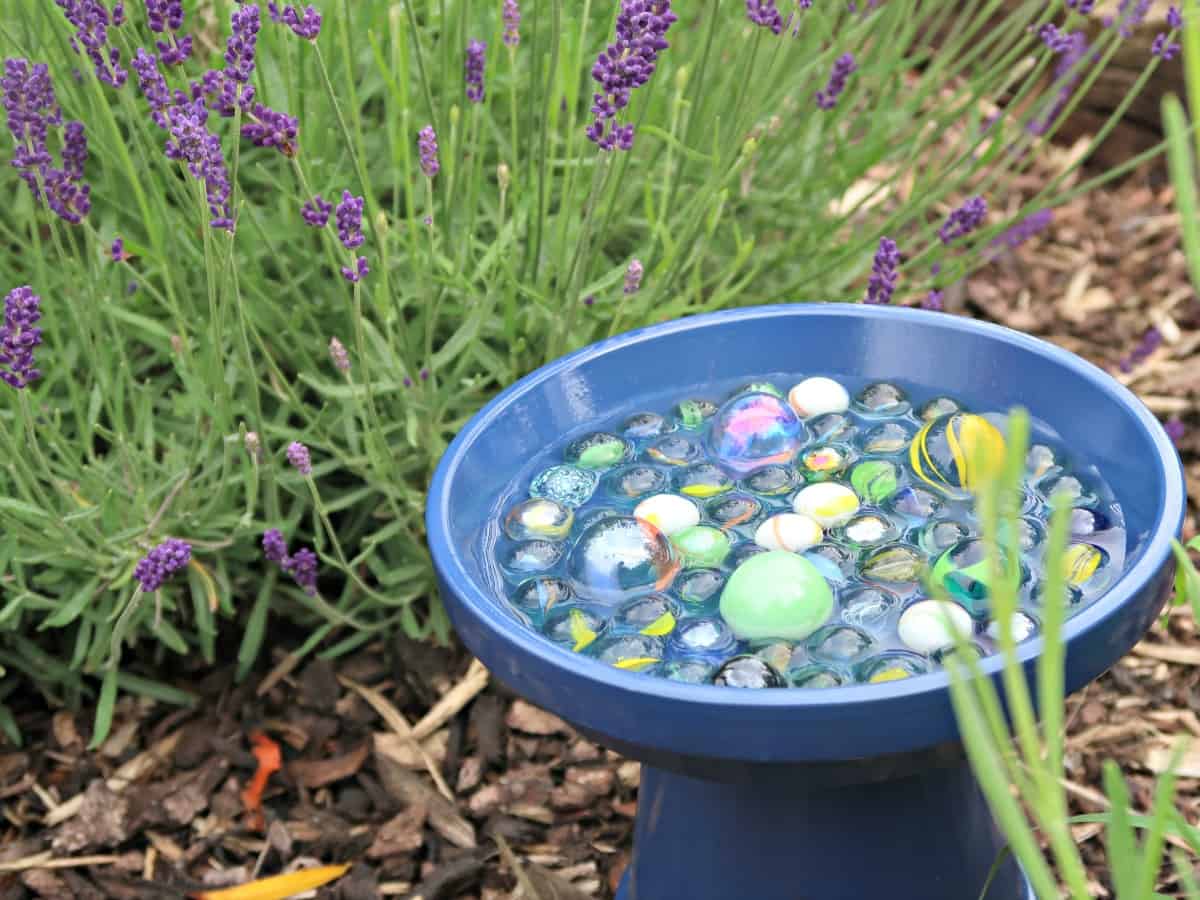 how-to-make-a-simple-bee-water-station-for-your-garden-garden-yard