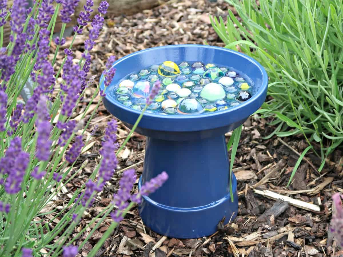 Bee Watering Station DIY: What Is It And How To Make It, 49% OFF