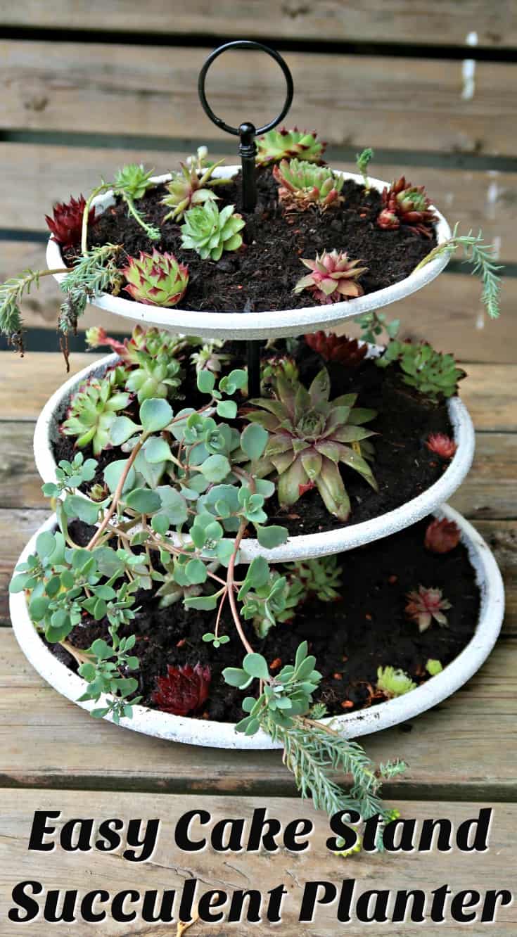 How To Make An Easy Tiered Succulent Planter â€¢ Craft Invaders
