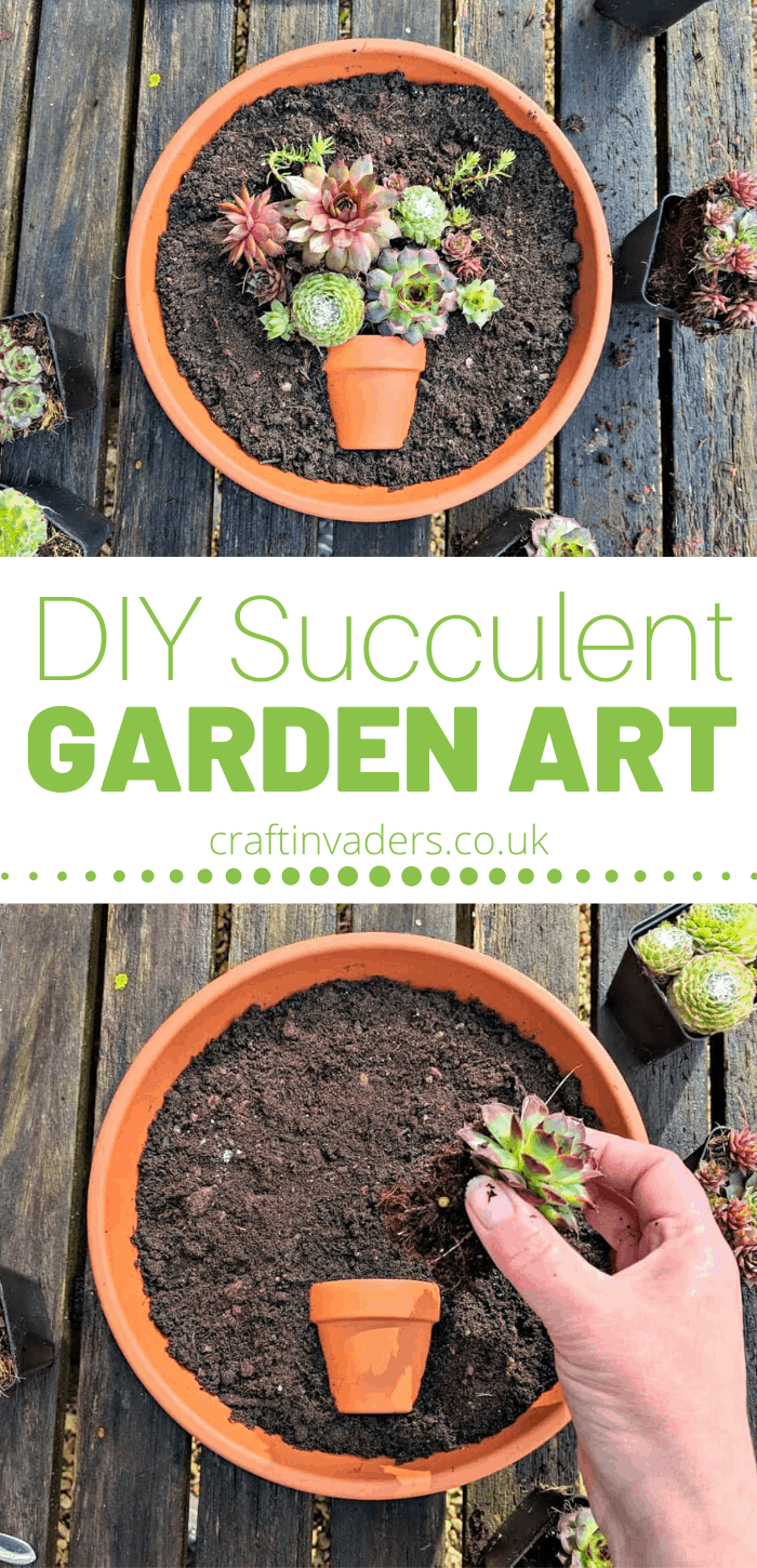 Colourful succulents already look like mini works of art. Here we show you how to plant a succulent pot to make your own piece of garden art. #succulents #succulentgarden #succulentarrangement #succulent display