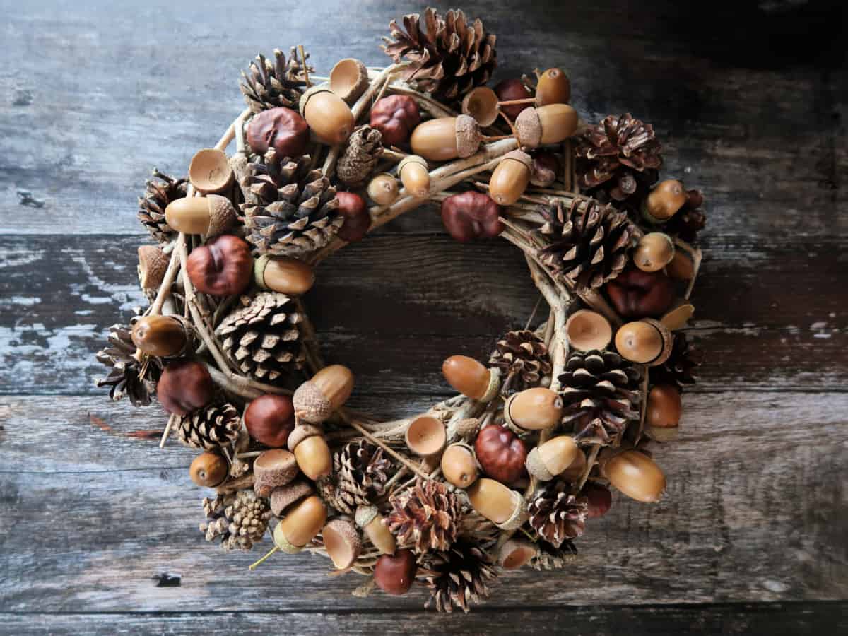 Pinecones & Acorns Holiday Gift Guide: Favorite Gifts for Women - Pinecones  and Acorns