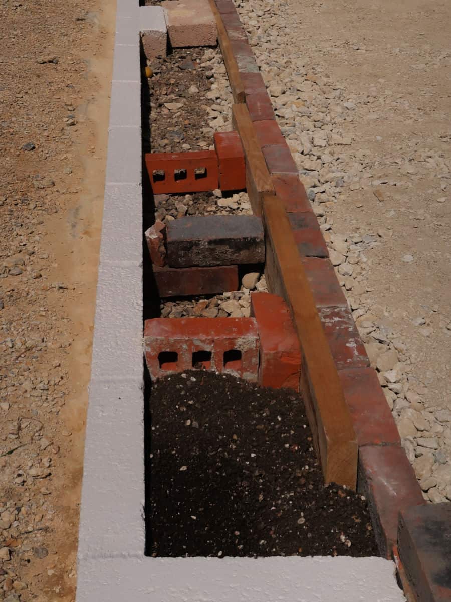 How to plant a lavender hedge and 10 benefits of planting lavender as a hedge.