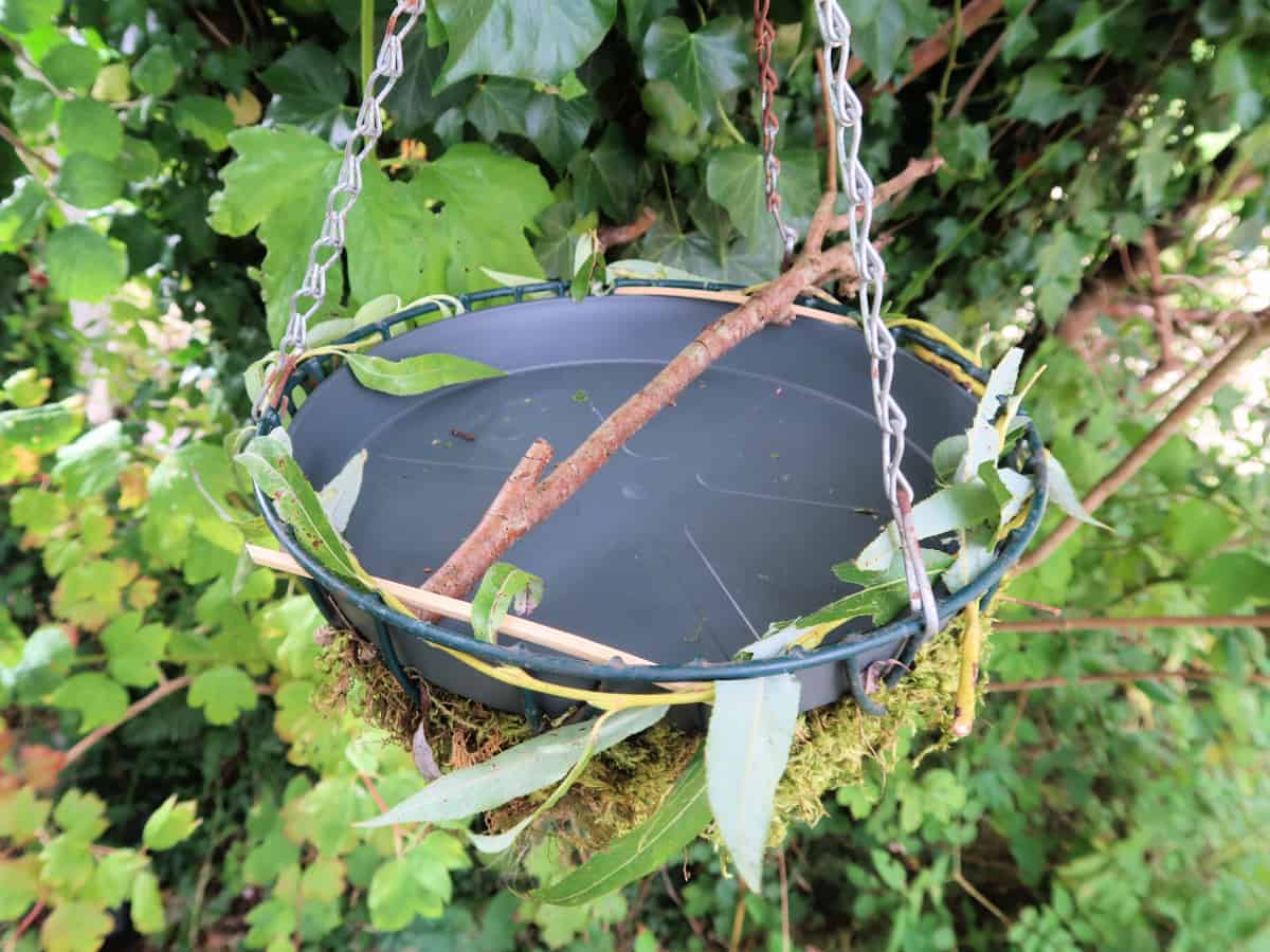 Our easy hanging bird bath couldn’t be simpler to make. As a bonus, it also doubles as a bug hotel providing lots of natural materials for insects to hibernate in.